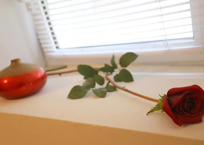 Daire Ana Arbanasi Zadar