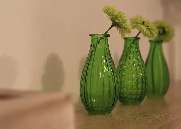 Ana Arbanasi 公寓 *